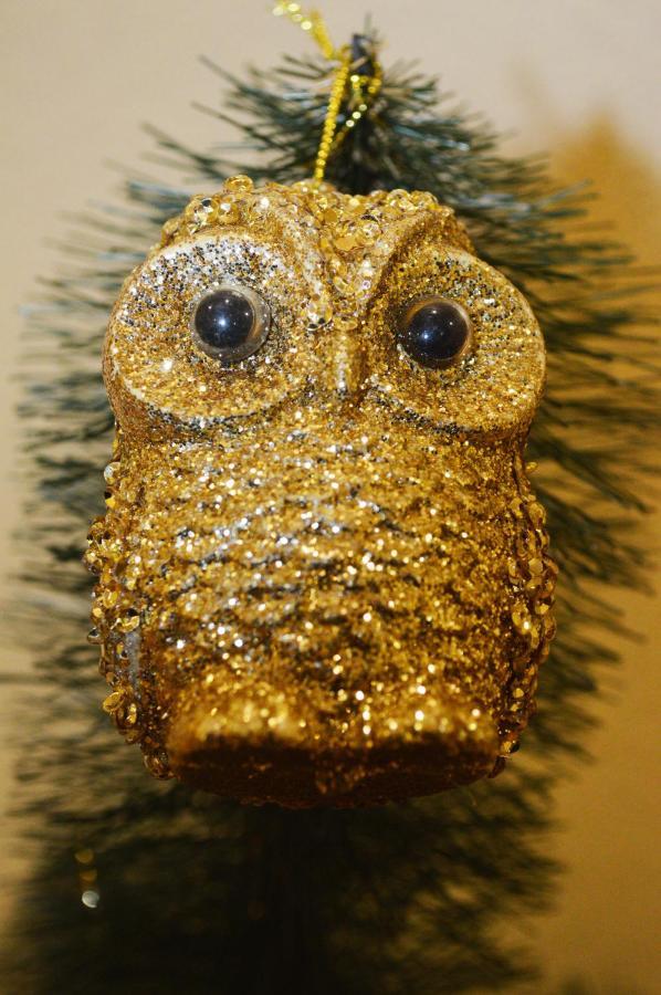 Owl Home Odessa Cozy Spacious Apartment In A Quiet Center Between Deribasovskaya And Privoz Luaran gambar